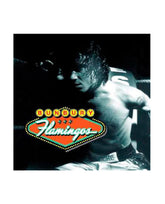 Bunbury - LP Vinilo "Flamingos" - D2fy · Rocktud - Rocktud