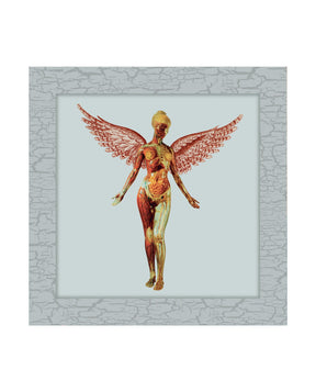 Nirvana - 2CD "In Utero" Ed. 30 aniversario - D2fy · Rocktud - Rocktud